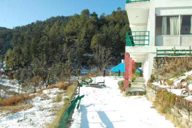 Natureraga Fernhill Resort Chail Ngoại thất bức ảnh