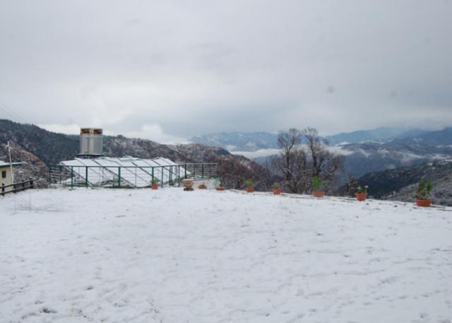 Natureraga Fernhill Resort Chail Ngoại thất bức ảnh