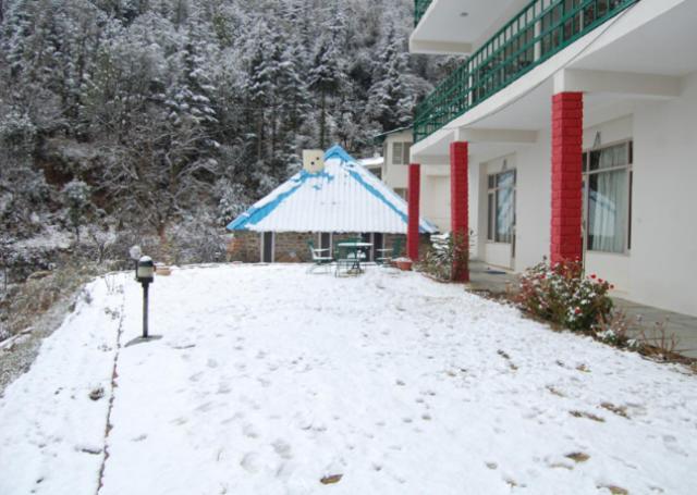 Natureraga Fernhill Resort Chail Ngoại thất bức ảnh